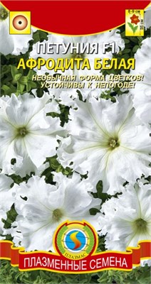 Петуния крупноцветковая Афродита Белая F1 10 шт. ПЛ 774883 - фото 5505