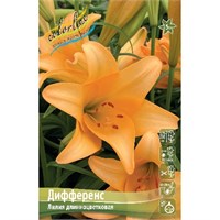 Лилия ДИФФЕРЕНС Длинноцветковые гибриды № 290 767133